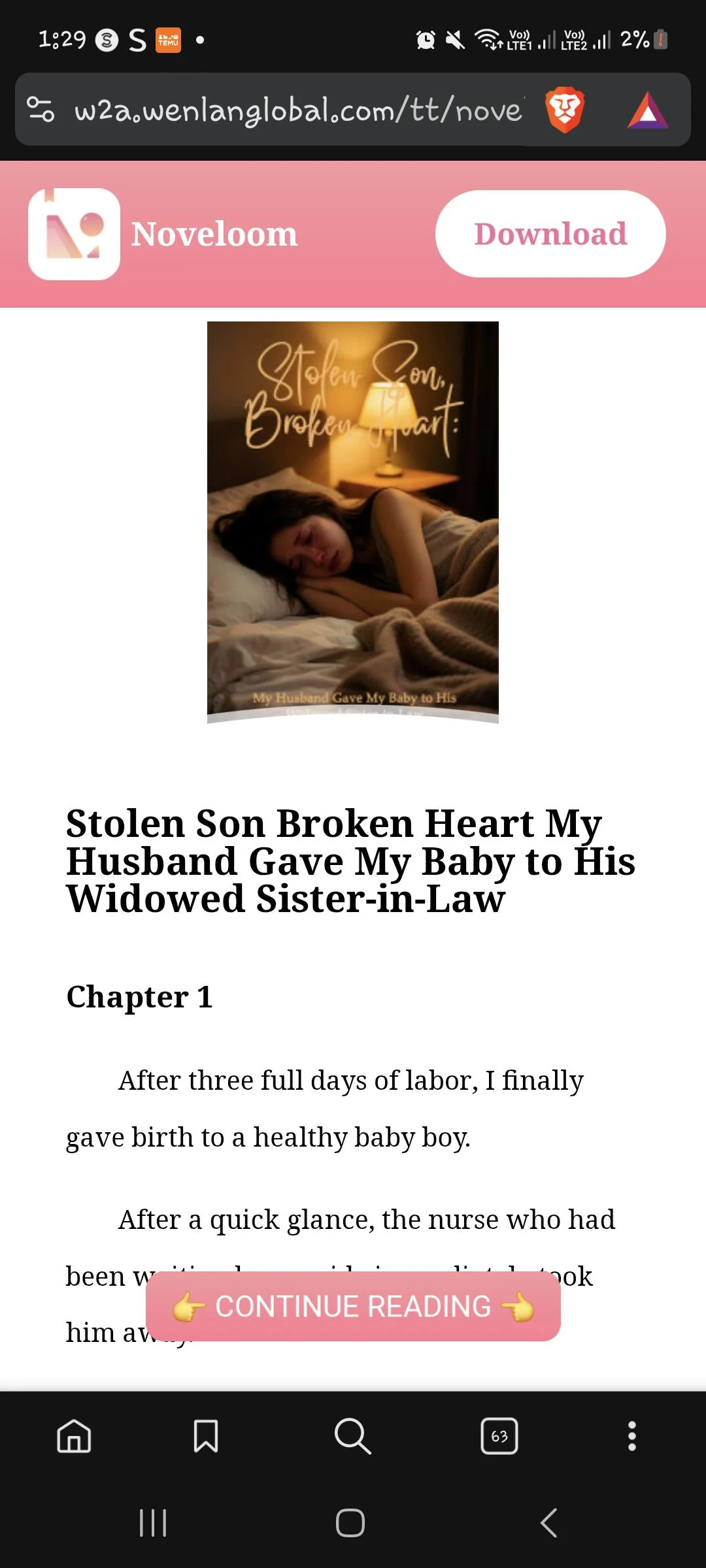 Stolen Son Broken Heart My Husband Gave My Baby to His Widowed Sister-in-Law